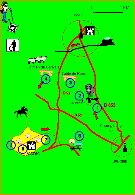 carte liverno