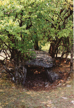 dolmen de Limogne  en bordure du GR