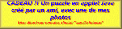 puzzle