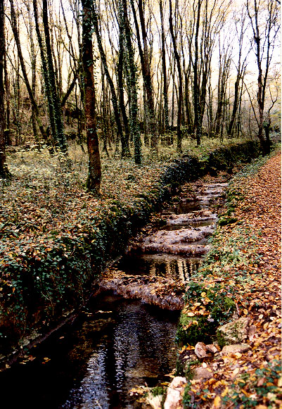 ruisseau